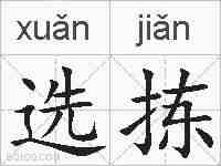 选拣的拼音