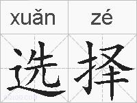 选择的拼音