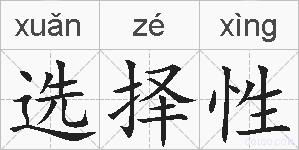 选择性的拼音