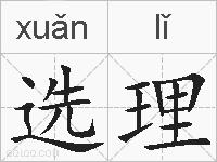 选理的拼音