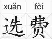 选费的拼音