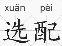 选配的拼音