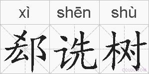 郄诜树的拼音