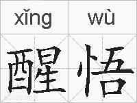醒悟的拼音