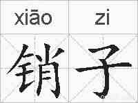销子的拼音