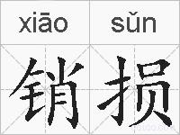 销损的拼音
