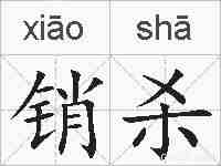 销杀的拼音
