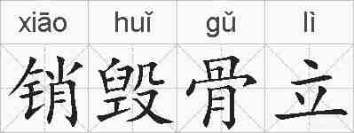 销毁骨立的拼音