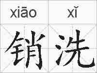 销洗的拼音