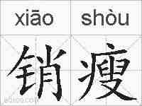 销瘦的拼音