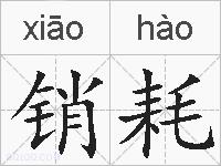 销耗的拼音