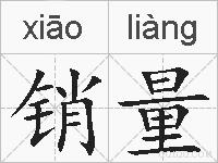 销量的拼音