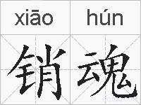 销魂的拼音