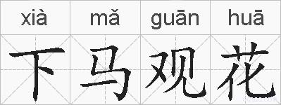 下马观花的拼音
