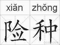 险种的拼音