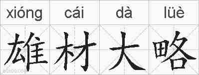 雄材大略的拼音