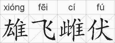雄飞雌伏的拼音