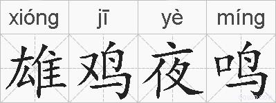 雄鸡夜鸣的拼音