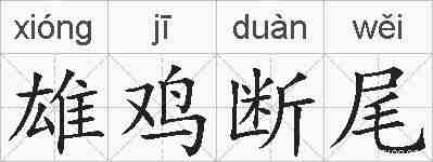 雄鸡断尾的拼音