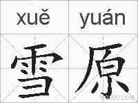 雪原的拼音