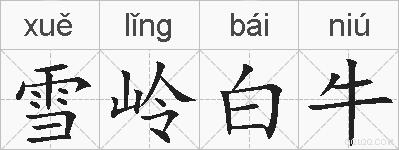 雪岭白牛的拼音