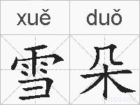 雪朵的拼音