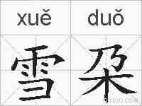 雪朶的拼音