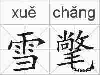 雪氅的拼音