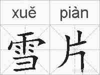 雪片的拼音