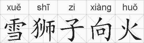 雪狮子向火的拼音