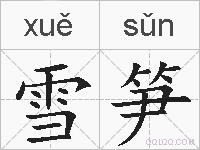 雪笋的拼音