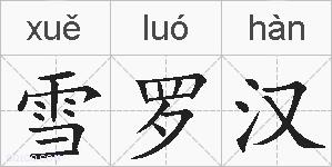 雪罗汉的拼音