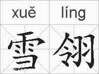 雪翎的拼音