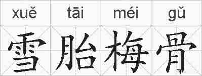 雪胎梅骨的拼音