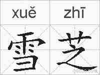 雪芝的拼音
