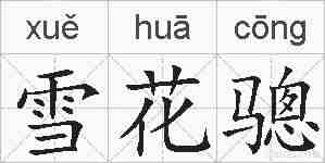 雪花骢的拼音