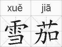 雪茄的拼音