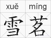 雪茗的拼音