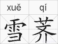 雪荠的拼音
