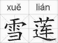雪莲的拼音