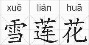 雪莲花的拼音