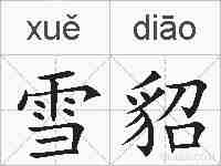 雪貂的拼音