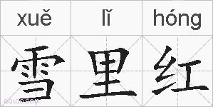 雪里红的拼音