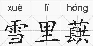 雪里蕻的拼音