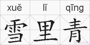 雪里青的拼音