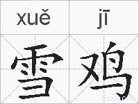 雪鸡的拼音