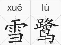 雪鹭的拼音