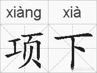 项下的拼音