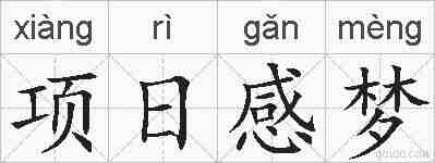 项日感梦的拼音