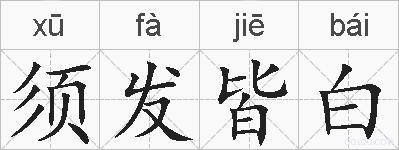 须发皆白的拼音